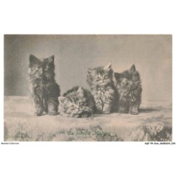AQFP8-0525-CHAT - la famille mistigri