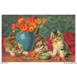 AQFP8-0537-CHAT - chats et pot de fleurs