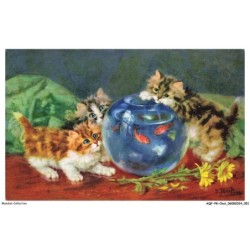 AQFP8-0531-CHAT - l'aquarium de petits poissons