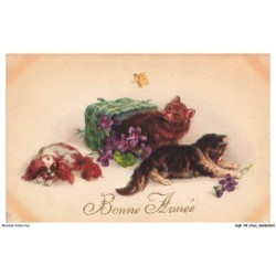 AQFP9-0584-CHAT - chiot et chatons