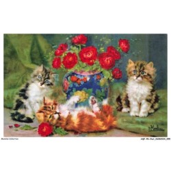 AQFP8-0533-CHAT - chats et pot de fleurs