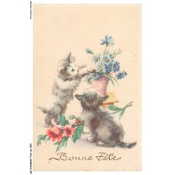 AQFP8-0534-CHAT - chats et pot de fleurs - bonne fete