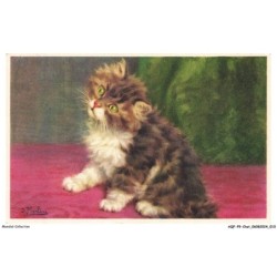 AQFP9-0589-CHAT - le regard