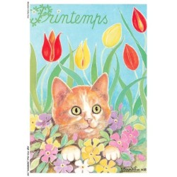AQFP10-0725-CHAT - le printemps