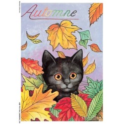 AQFP10-0727-CHAT - l'automne
