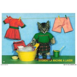 AQFP12-0811-CHAT - vivement la machine a laver