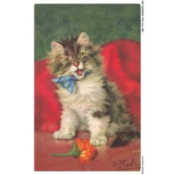 AQFP10-0706-CHAT - le miaulement