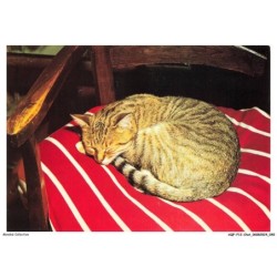 AQFP12-0828-CHAT - le repos
