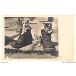 AQFP10-0723-CHAT - paire de chaussures et chatons