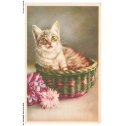 AQFP10-0709-CHAT - chat dans un panier