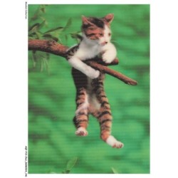 AQFP10-0732-CHAT - l'accrochement sur la branche d'arbre