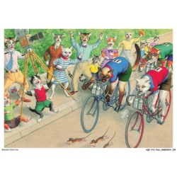 AQFP10-0736-CHAT - la course a vélo
