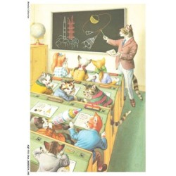 AQFP10-0733-CHAT - l'enseignement - en salle de cours