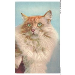 AQFP12-0819-CHAT - le regard