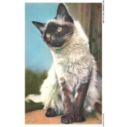 AQFP12-0817-CHAT - le regard