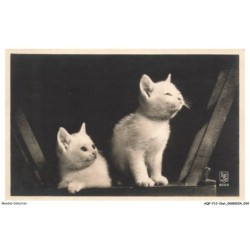 AQFP12-0820-CHAT - le regard