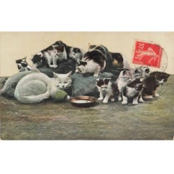 MIKIFP9-031- CHAT BLANC ET CHATONS PELOTTE DE LAINE