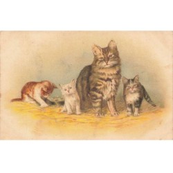 MIKIFP9-010- CHAT ET CHATONS