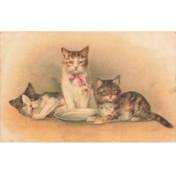 MIKIFP9-011- TROIS CHATS ET UNE ASSIETTE VIDE