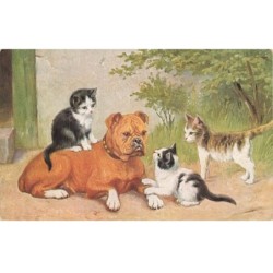 MIKIFP9-036- TROIS CHATS ET UN CHIEN