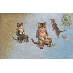 MIKIFP9-012- CHATS HUMANISE SUR UNE LUGE