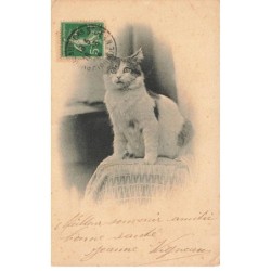 MIKIFP9-033- CHAT SUR UN LIT