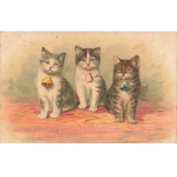MIKIFP9-009- TROIS CHATS ET NOEUDS DE COULEURS