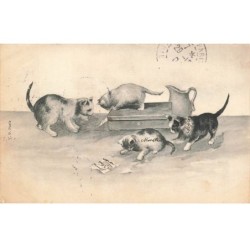 MIKIFP9-016- CHATS ET VALISE