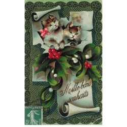MIKIFP17-041- DEUX BEAUX CHATS ET GUI MILLE BON SOUHAITS