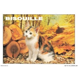 AQFP12-0851-CHAT - bisouille