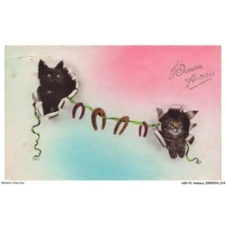 ASBP2-0072-ANIMAUX - CHATS - BONNE ANNEE