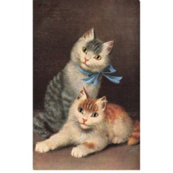 MIKIFP9-003- DEUX CHATS AUX YEUX JAUNE ET BLEU
