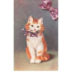 MIKIFP9-007- UN MIGNON CHAT ROUX NOEUD PAPILLONS VIOLET