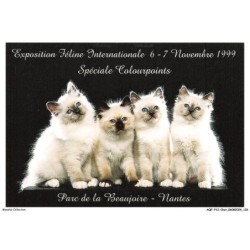 AQFP12-0872-CHAT - exposition féline internationale 6-7 novembre 1999