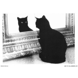 AQFP12-0860-CHAT - le regard au miroir