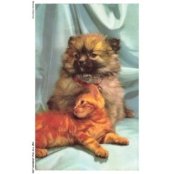 AQFP12-0821-CHAT - le repos