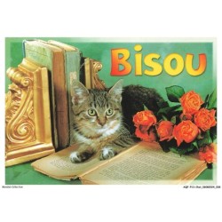 AQFP13-0910-CHAT - la lecture - bisou