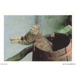 AQFP12-0882-CHAT - le saut a travers le fut