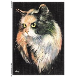 AQFP13-0920-CHAT - chiens et chats nos amis - portrait