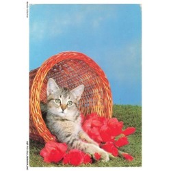 AQFP13-0911-CHAT - panier de fleurs