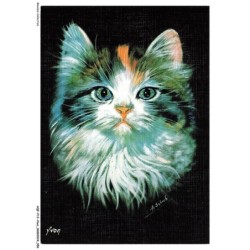 AQFP13-0919-CHAT - chiens et chats nos amis - portrait