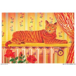 AQFP13-0944-CHAT - les chats de bj - bien au chaud