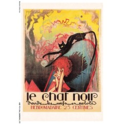 AQFP13-0949-CHAT - le chat noir