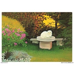 AQFP13-0942-CHAT - dans le coin du jardin