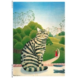 AQFP13-0941-CHAT - le regard