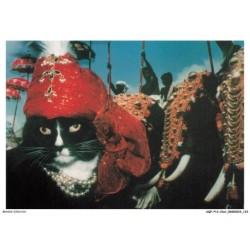 AQFP13-0953-CHAT - maharajah of katpur