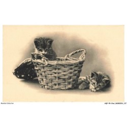 AQFP8-0576-CHAT - panier de chatons