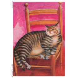 AQFP13-0940-CHAT - le repos