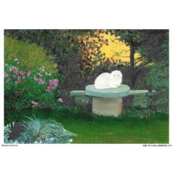 AQFP13-0950-CHAT - in the garden