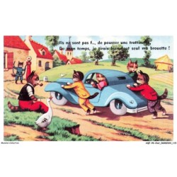 AQFP8-0565-CHAT - la poussée de la voiture